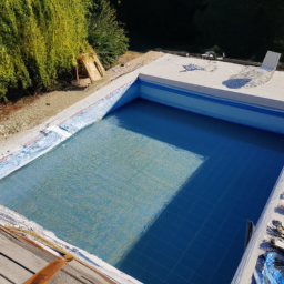 Accessoires et Produits d'Entretien : Maintenez votre Piscine dans un État Impeccable Cayenne